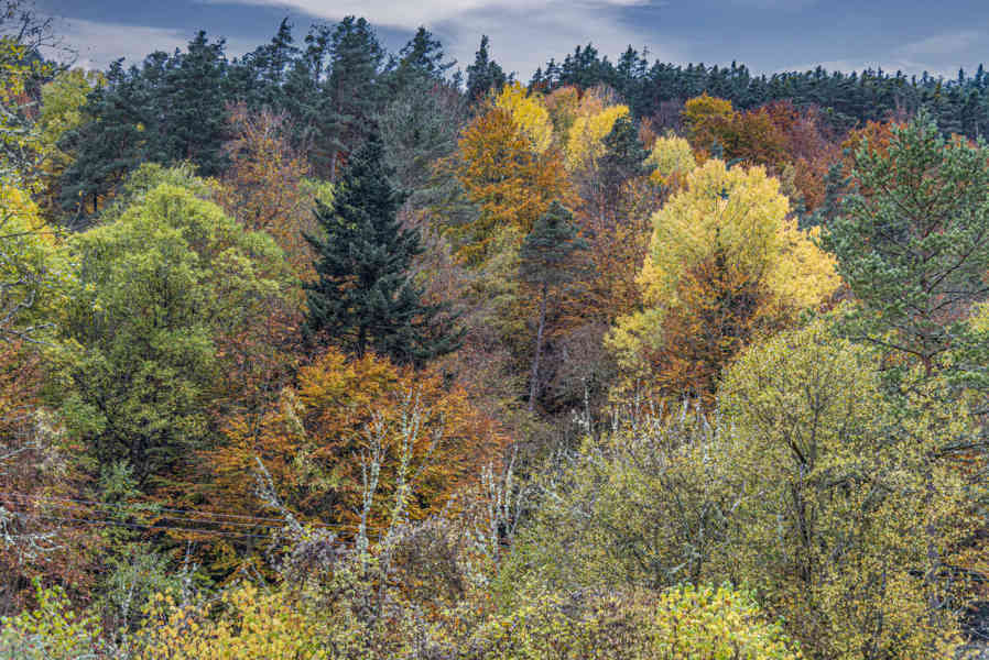 Comunidad Foral de Navarra 153 - valle de Roncal.jpg